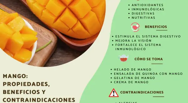 Mango: propiedades antioxidantes, inmunológicas y digestivas. Beneficios para la visión y el sistema inmune.