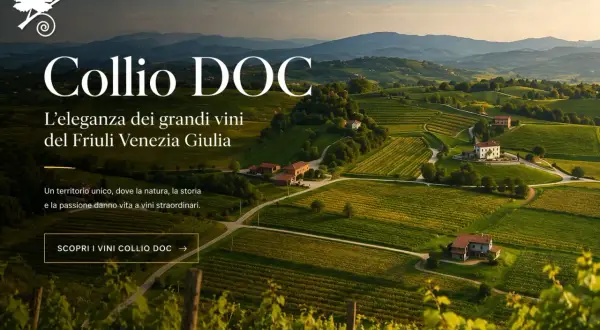 Colline verdi del Collio DOC, un paesaggio incantevole che celebra l'eleganza dei vini del Friuli Venezia Giulia.