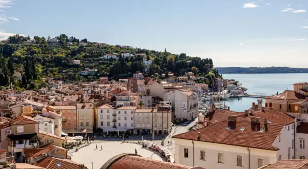 Piran: malerische Altstadt mit roten Dächern, Hafen und grünen Hügeln. Entdecken Sie Piran Geheimtipps für Ihren Urlaub.