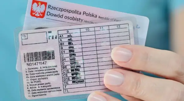 Dłoń trzyma polskie prawo jazdy z widocznymi kategoriami pojazdów, od motocykli po autobusy.