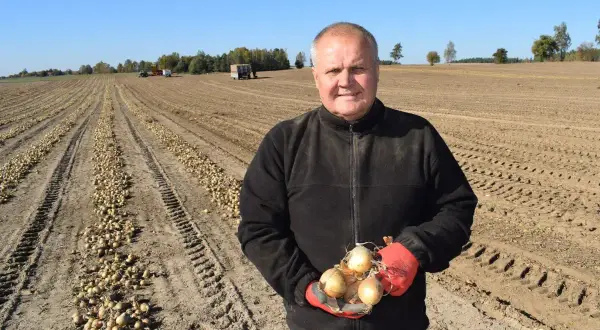 Rolnik trzyma świeżo zebrane cebule na polu. W tle widać rzędy wykopanych warzyw, maszyny rolnicze i drzewa. To prawdziwe klasy ziemi.