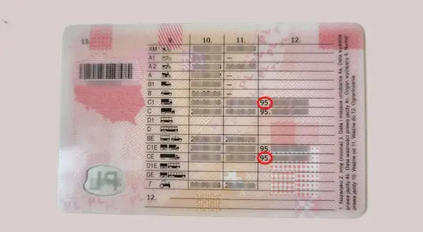 Czy brak świadectwa kwalifikacji zawodowej kierowcy może zrujnować karierę? Wszystko, co musisz wiedzieć