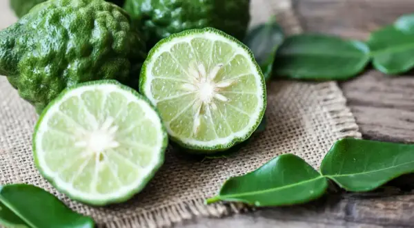 Całe i przekrojone limonki kaffir na płótnie. Ich skórka jest pomarszczona, a miąższ jest jasnozielony. W tle widać liście. Czuć, jak pachnie bergamotka.
