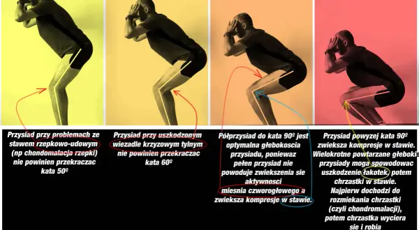 Głębokość przysiadu a pracujące mięśnie. Różne kąty ugięcia kolan w przysiadzie wpływają na obciążenie stawów i mięśni.