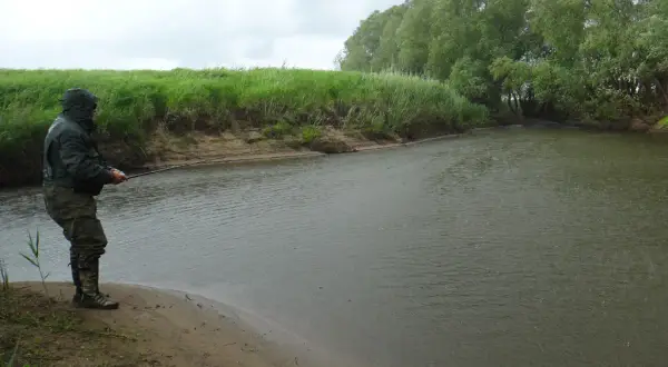 Ein Angler steht im Regen am Ufer eines Flusses und wirft seine Angel aus. Grüne Ufer und Bäume säumen das Wasser.