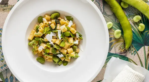 Piatto di pasta con fave fresche, un assaggio della ricetta pasta con le fave fresche alla siciliana, guarnita con ricotta salata e erbe aromatiche.