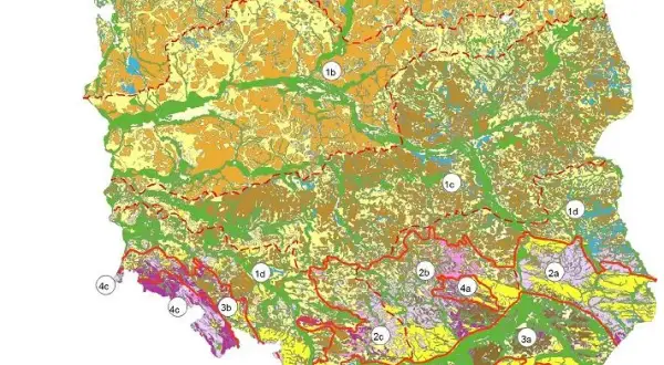 Zjawiska krasowe: jak powstają i gdzie je znaleźć w Polsce?