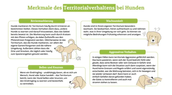 Hund scharren unterbinden: Illustrationen zeigen Hunde, die ihr Territorium markieren und bellen, um Eindringlinge zu warnen.