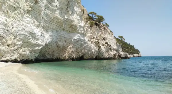Spiaggia di ciottoli bianchi e mare cristallino ai piedi di una maestosa scogliera calcarea, con grotte marine. La **cala della pipa** è un angolo di paradiso.
