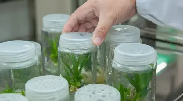 Czy po biotechnologii można uczyć w szkole? Sprawdź wymagania nauczycieli