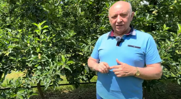 Mężczyzna w sadzie jabłoniowym opowiada o znaczeniu nawożenia, np. chlorkiem wapnia, dla zdrowia drzew.