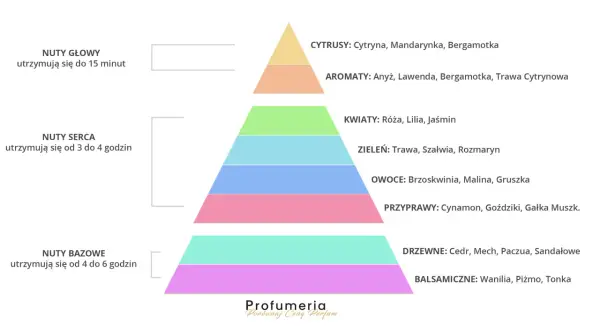 Piramide zapachowa perfum: nuty głowy, serca i bazy. Nuty bazowe to drzewne akordy cedru, mchu i sandałowca, tworzące trwały, drzewny zapach.