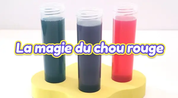 Trois éprouvettes aux couleurs vives (bleu, violet, rouge) montrent la magie du chou rouge pour tester le pH de l'eau sans testeur.