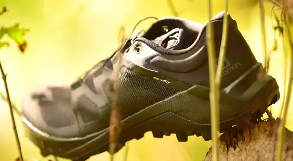 Buty Salomon Wildcross na drewnianym pniaku, otoczone zielenią. Gotowe na przygodę.