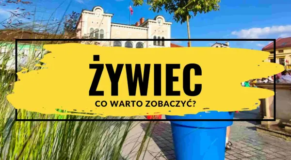 Najlepsze atrakcje w Żywcu, które musisz zobaczyć podczas wizyty