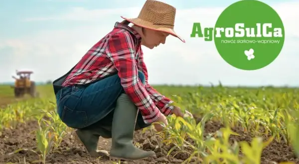 Rolniczka w kapeluszu dogląda młodych roślin kukurydzy. W tle widać traktor. Logo AgroSulCa sugeruje nawóz dla zdrowego pomiotu kurzego.