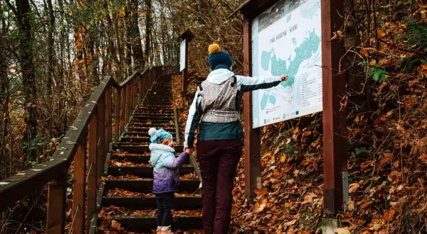 Piwniczna-Zdrój: Odkryj najlepsze atrakcje i szlaki na urlop!