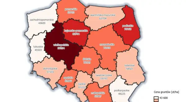 Mapa Polski z cenami gruntów. Wielkopolskie najdroższe, zachodniopomorskie najtańsze. Sprawdź, ile kosztuje hektar ziemi w Twoim regionie.