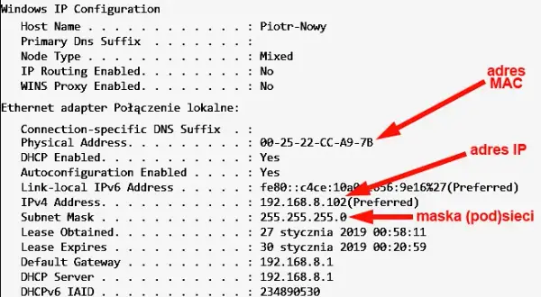 Co to jest host sieci: kluczowe informacje o jego roli i funkcjach