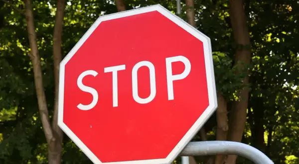 Ośmiokątny, czerwony znak stop z białym napisem "STOP" na tle zielonych drzew.