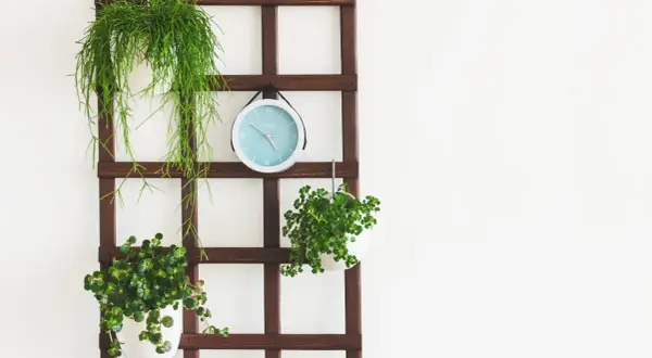 Kwietnik na ścianę DIY: Stwórz zieloną oazę krok po kroku!