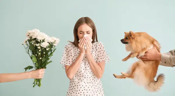 Alergia na psa: Czy minie? Leczenie i życie z pupilem