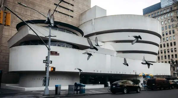 Duvor flyger framför den ikoniska spiralformade Guggenheim-byggnaden. Vem var Guggenheim? En visionär samlare som skapade detta arkitektoniska mästerverk.