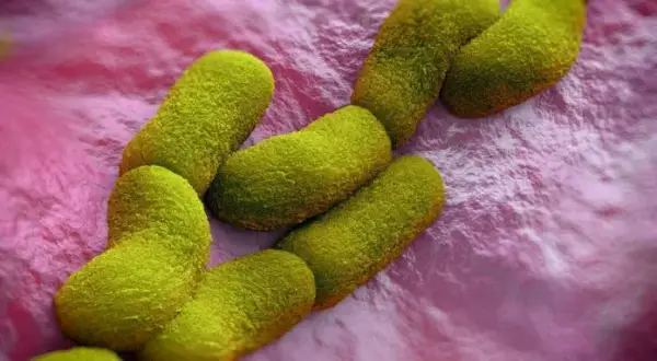 Yersinia objawy neurologiczne: rzadkie powikłania i ich skutki zdrowotne
