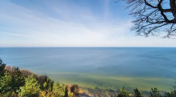 Widok z punktu widokowego Gosań na spokojne morze i piaszczystą plażę. Drzewa na pierwszym planie tworzą naturalną ramę.