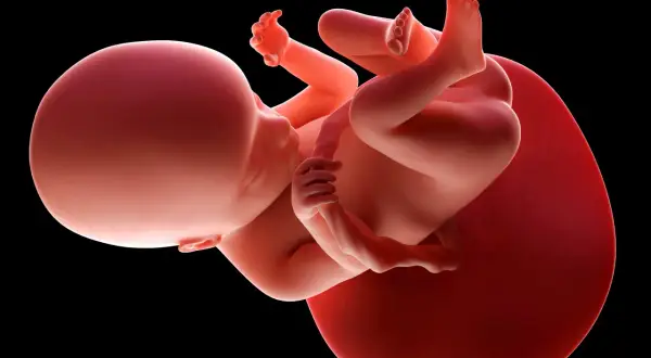 Ciąża i PTC: 18 dni nadziei? Jak odczytać wczesne sygnały