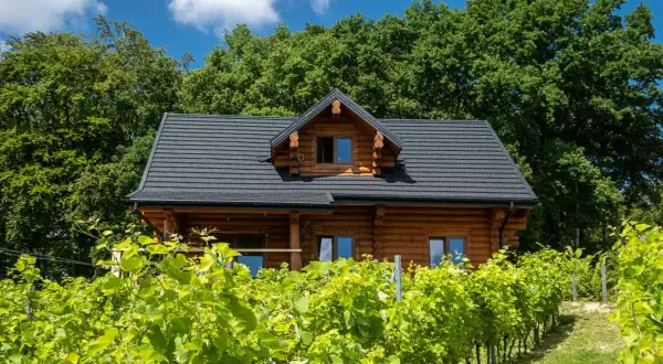 Drewniany domek wśród winorośli, idealne miejsce na enoturystykę.