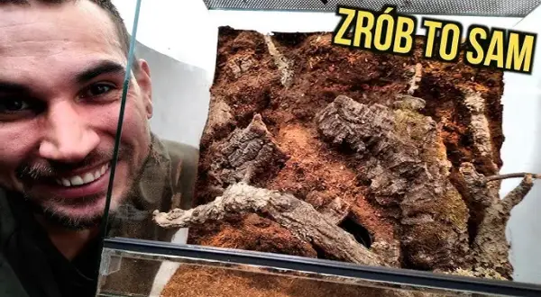 Jak zrobić tło do terrarium: proste metody i materiały, które zaskoczą