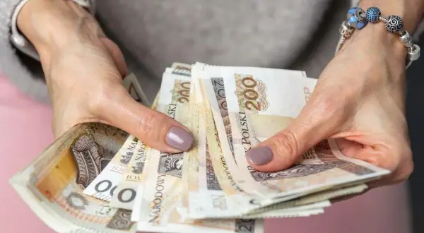 800 plus: Od kiedy? Wszystko o zmianie, wnioskach i wypłatach
