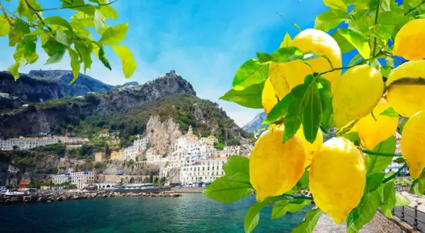 Un **capriccio mattutino** con limoni gialli brillanti in primo piano, sullo sfondo di un borgo costiero italiano e montagne verdi.
