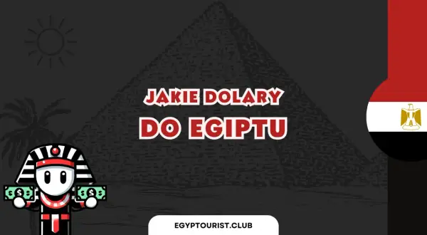 Faraon z dolarami pyta: jakie dolary do Egiptu? Słońce, piramida i flaga Egiptu w tle.
