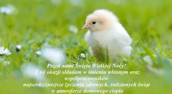 Idealne życzenia wielkanocne na Messenger? Skopiuj i zaskocz!