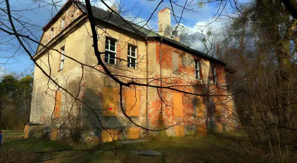 Zrujnowany pałac w Radojewie, z ceglanymi ścianami i zabitymi deskami oknami, otoczony dziką roślinnością.
