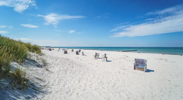 Ein sonniger Hiddensee Strand mit vielen Strandkörben, feinem Sand und dem blauen Meer.