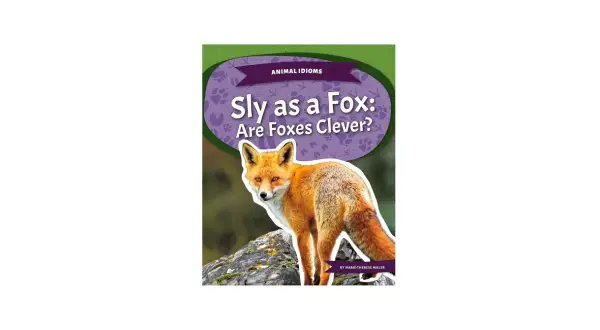 Rudy lis na kamieniu, okładka książki "Sly as a Fox: Are Foxes Clever?".