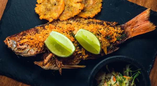 Meilleurs restaurants de fruits de mer à Valenciennes pour une expérience inoubliable