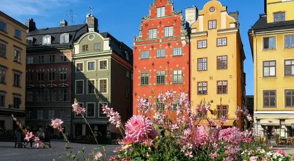 Färgglada hus på Stortorget, perfekt för ett hotell nära stortorget. Blommor i förgrunden.