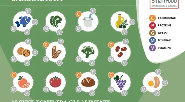 Pesce, noci, pasta integrale, broccoli, fagioli, pane integrale: alcuni cibi con tante proteine e pochi carboidrati, ideali per una dieta equilibrata.