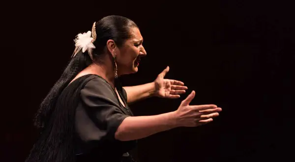 Una mujer flamenca, con un clavel en el pelo, baila con pasión, sus manos abiertas expresan el alma del flamenco.