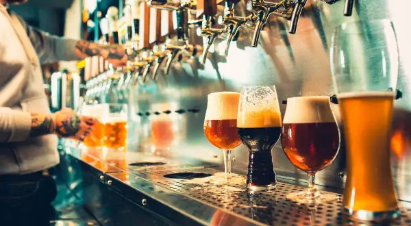 Vari tipi di bicchieri e il loro uso per degustare birre artigianali. Un barista con tatuaggi serve una birra dorata.