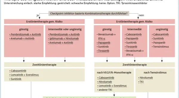 Flussdiagramm zur Therapie des Nierenzellkarzinoms, das Behandlungsoptionen basierend auf dem Risiko und der Vortherapie gemäß der nierenzellkarzinom leitlinie darstellt.