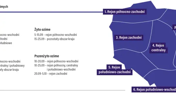 Mapa Polski podzielona na regiony z terminami siewu zbóż ozimych.