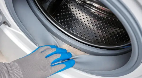 Hand in blue glove cleans the washing machine door seal. A clean ablaufschlauch waschmaschine reinigen is important for hygiene.