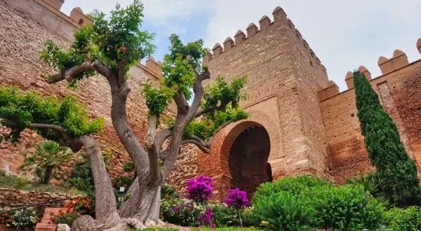 Ein alter Baum vor einer Festungsmauer mit einem Torbogen. Ein versteckter Ort in Andalusien, der zum Entdecken einlädt.