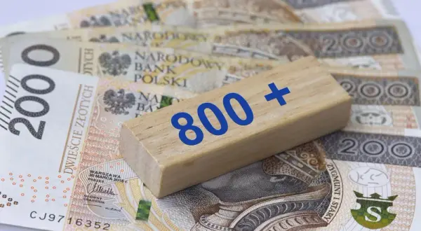 800 plus dla seniora: Czy to pewne? Status i szanse petycji