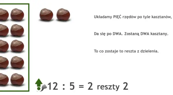 Ilustracja przedstawia kasztany ułożone w rzędy i działanie matematyczne 12:5=2 reszty 2.